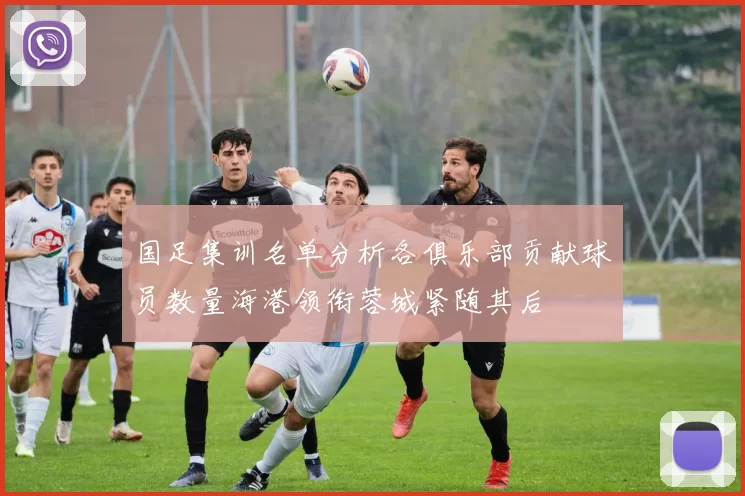 国足集训名单分析各俱乐部贡献球员数量海港领衔蓉城紧随其后