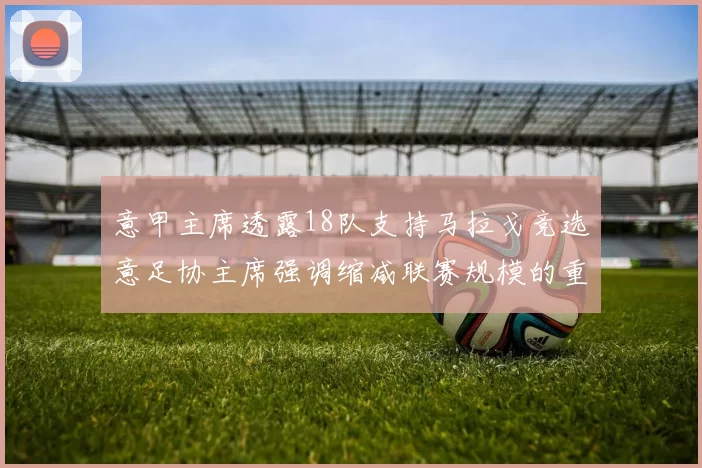 意甲主席透露18队支持马拉戈竞选意足协主席强调缩减联赛规模的重要性