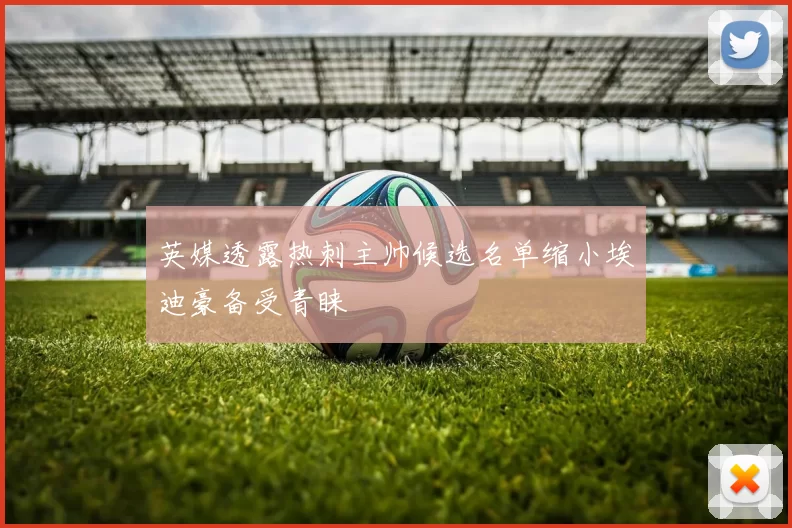 英媒透露热刺主帅候选名单缩小埃迪豪备受青睐